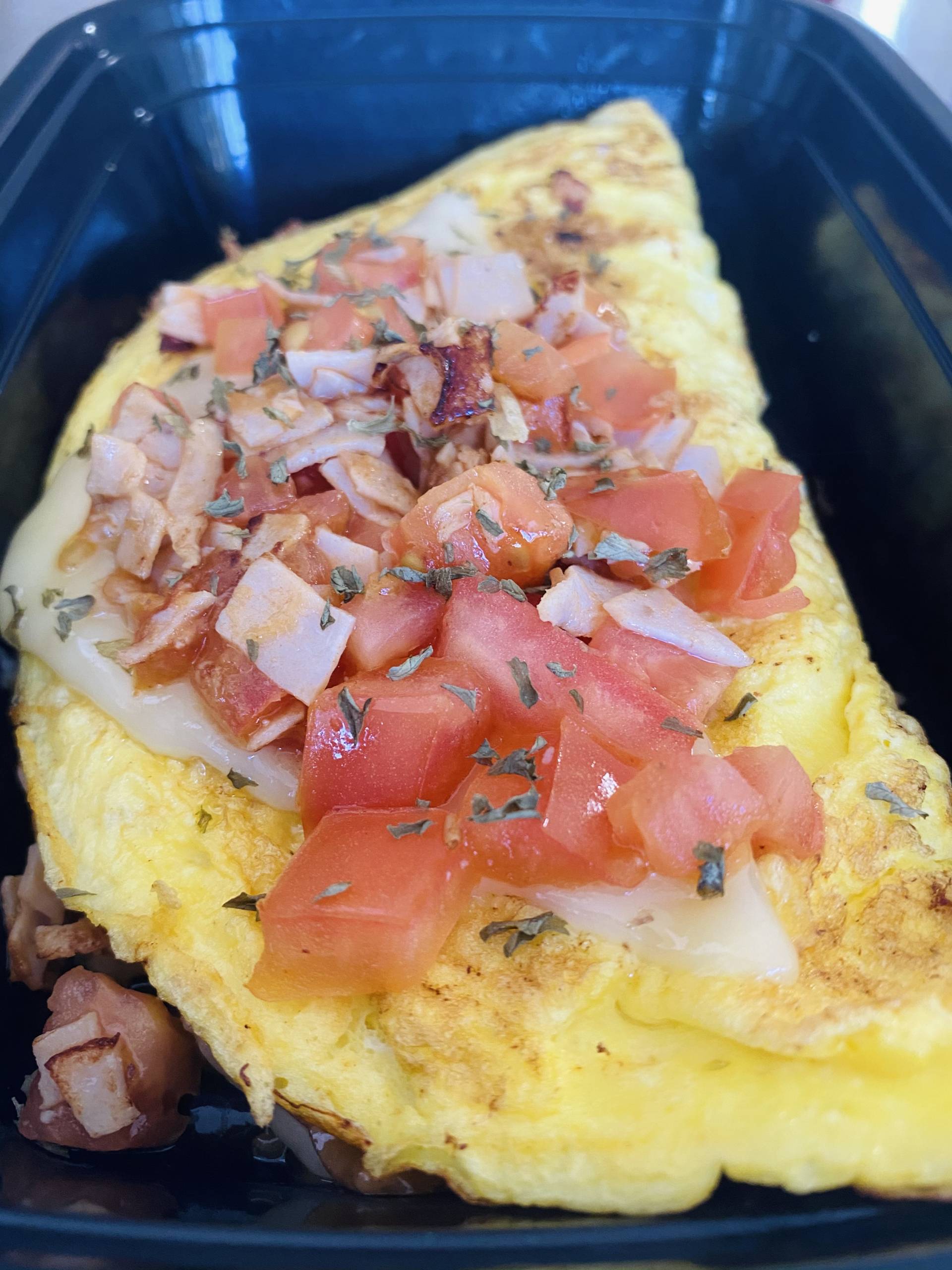 Fresh Fit Omelette