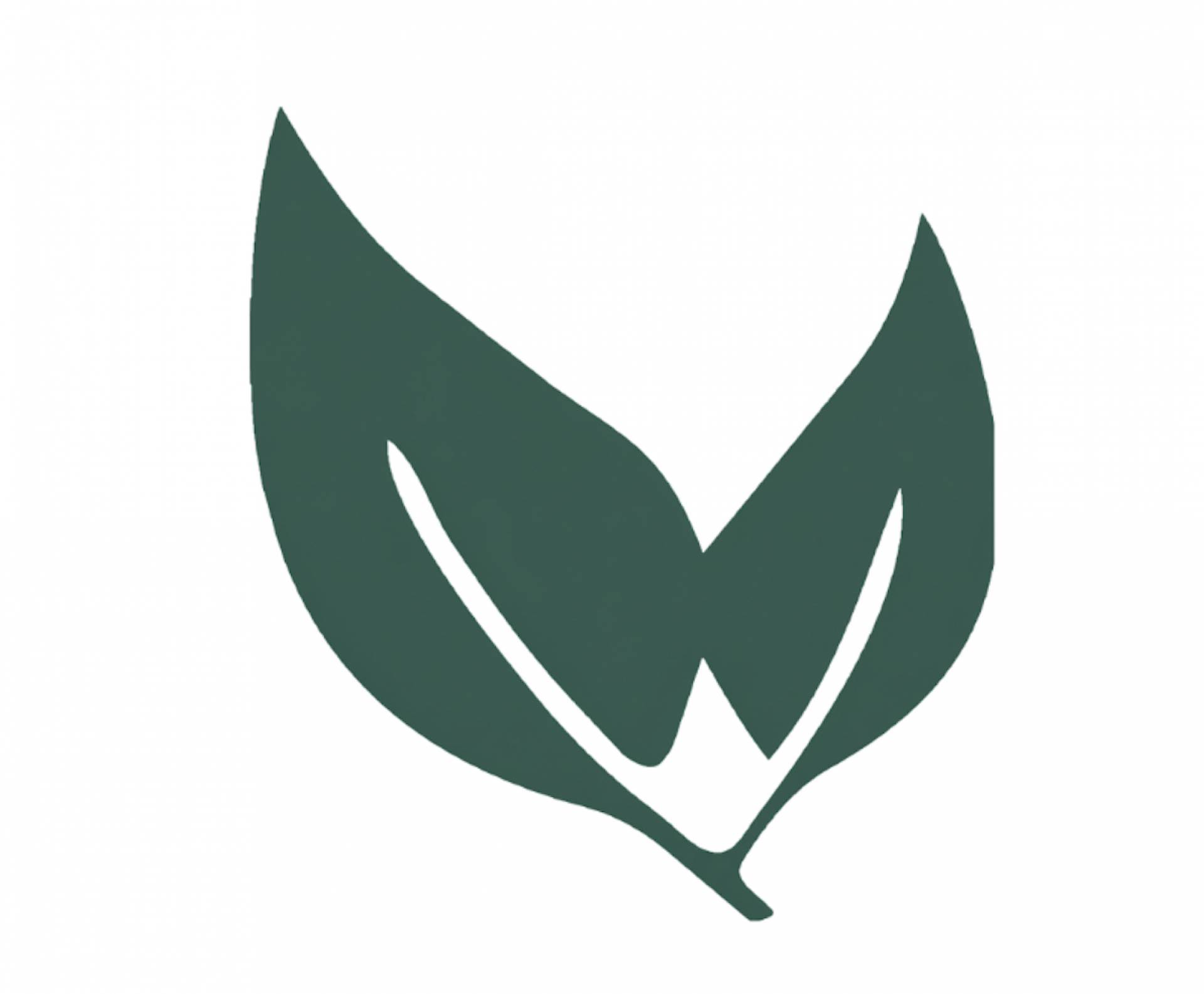 #10 Rollito de Lasagna de carne con veggies