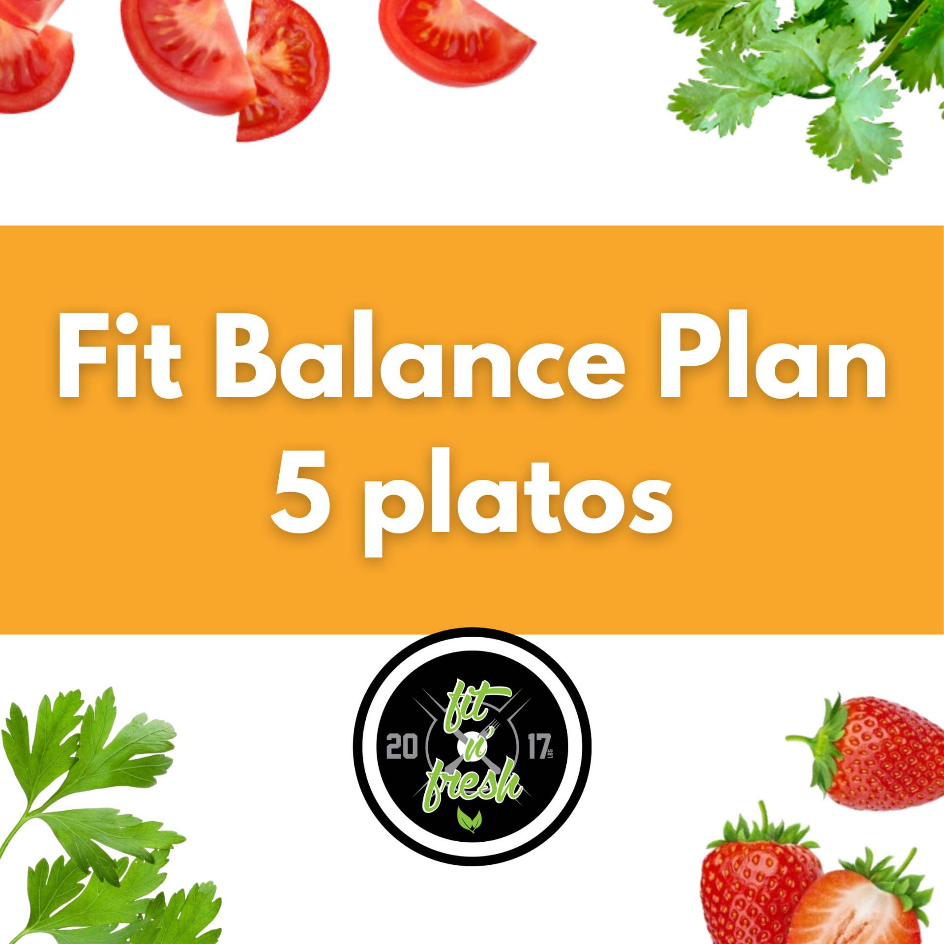 Fit Balance Plan - 5 Platos