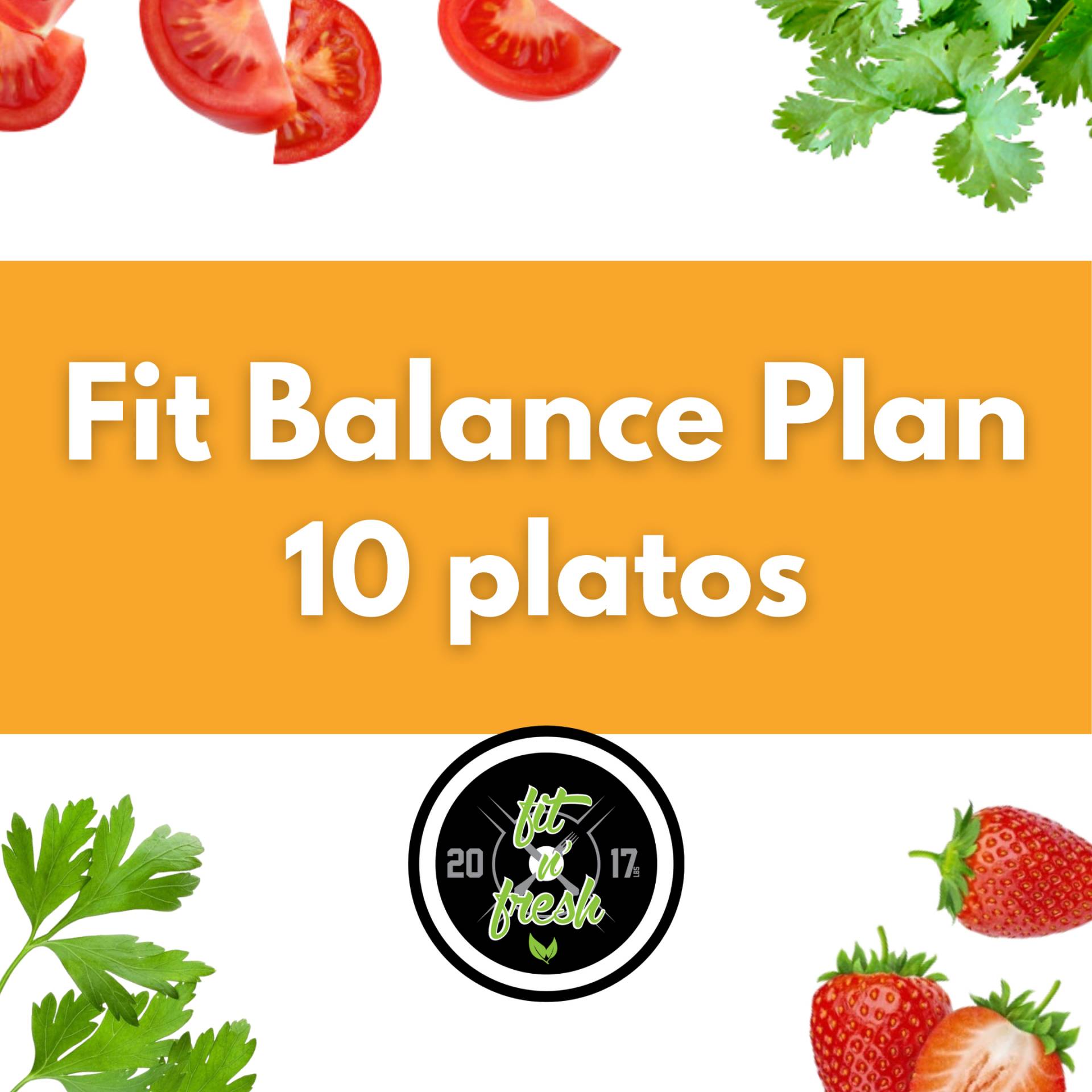Fit Balance Plan - 10 Platos